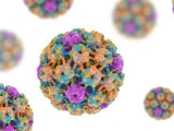 Nhiễm HPV Bao Lâu Thì Bị Ung Thư