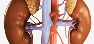 Tại sao suy thận được ví như “kẻ giết người thầm lặng"?