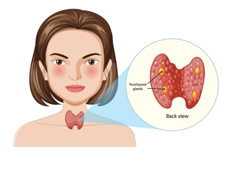 NHÂN TUYẾN GIÁP 12MM CÓ THỂ BỊ UNG THƯ KHÔNG? ĐIỀU TRỊ NHƯ THẾ NÀO?