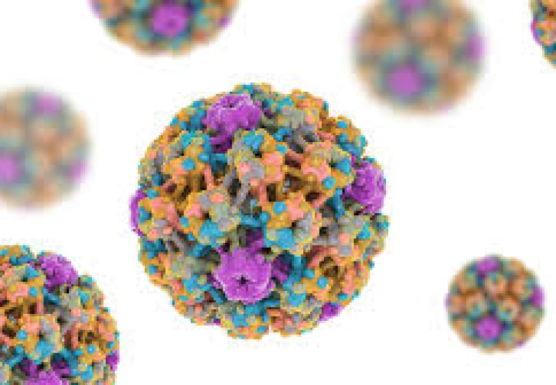 Nhiễm HPV Bao Lâu Thì Bị Ung Thư